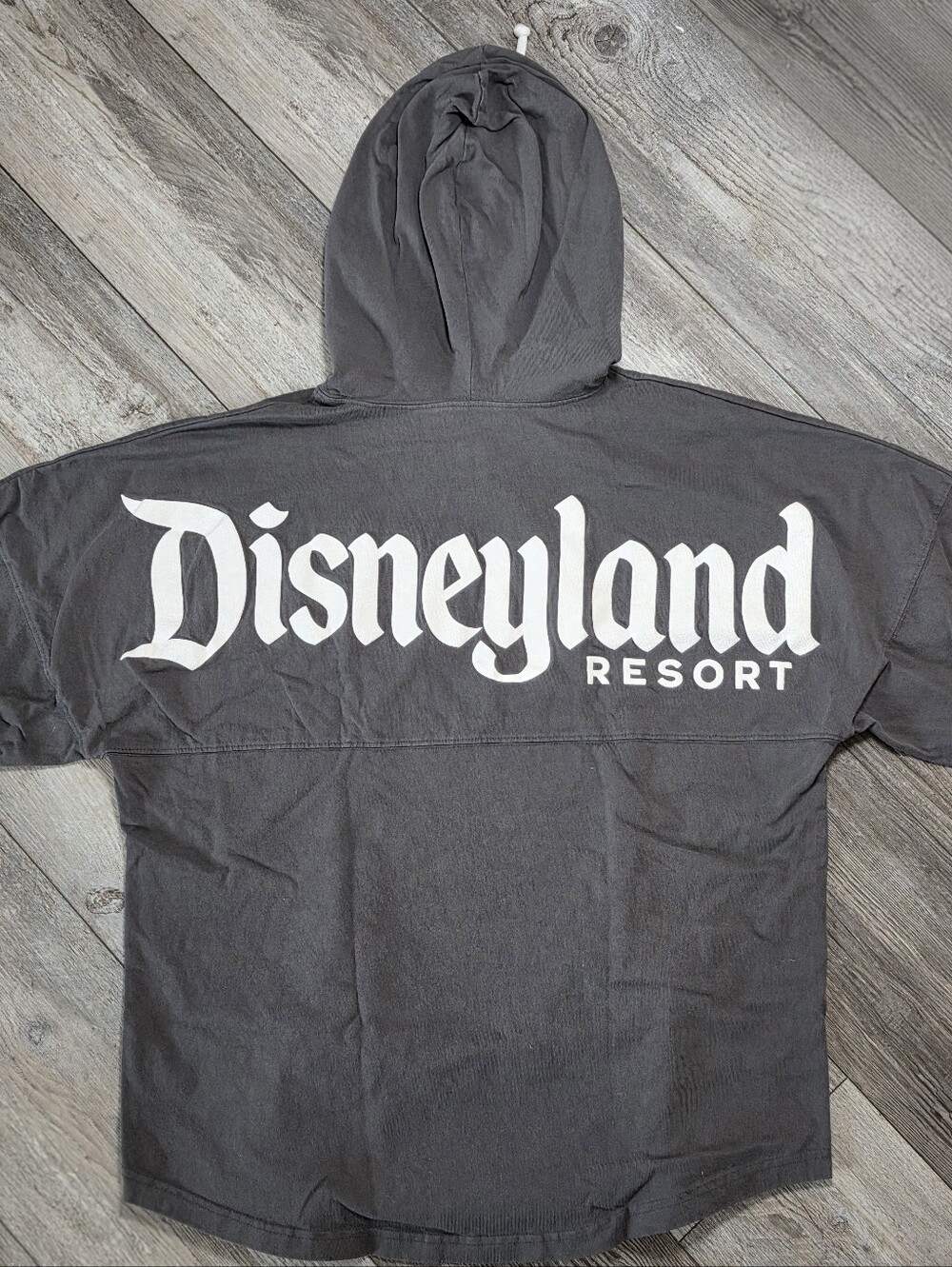 Spirit Jersey Unisex Disneyland Resort Hooded Longsleeve Shirt Sz Lg *READ